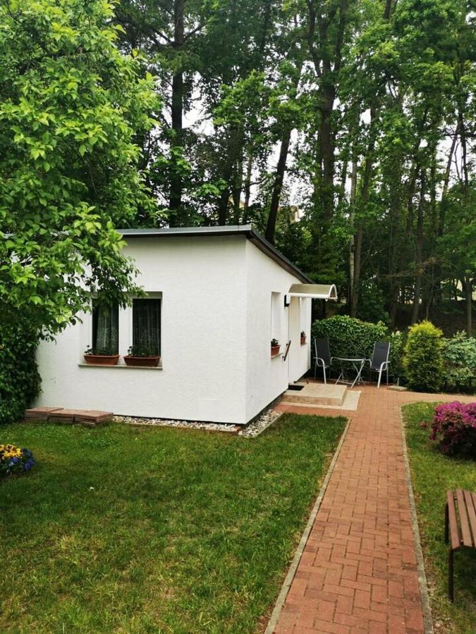 Ferienbungalow im Igelbau Baabe Exterior foto